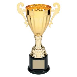 Completed Metal Cup Trophy on Plastic Base - CMC300 Series