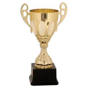 Completed Metal Cup Trophy on Plastic Base - CMC700 Series