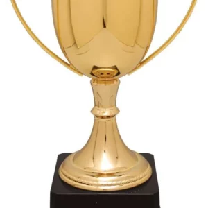 Completed Zinc Cup Trophy on Plastic Base