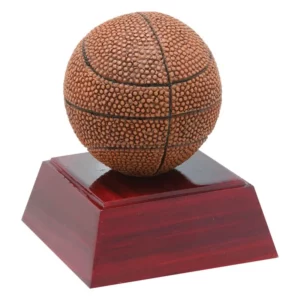 Full Color Award- Basketball