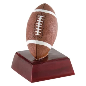 Color award- Football