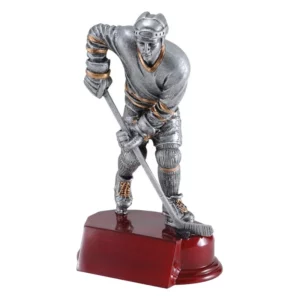 Hockey Resin Awards- Male