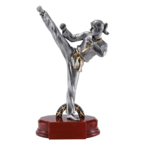 Karate Resin Award- Female