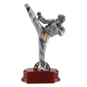 Karate Resin Award- Male
