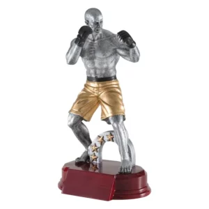 MMA Resin Award