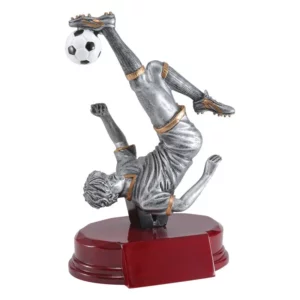 Bicycle Kick Soccer Male
