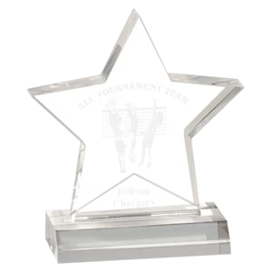 Star Acrylic Award