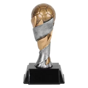 World Class Award- Soccer